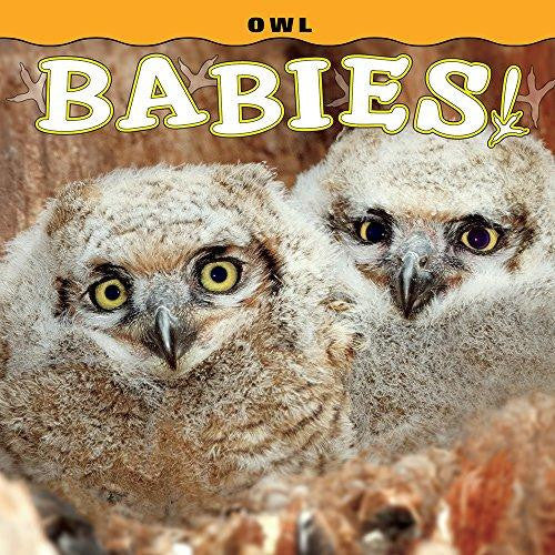 Owl Babies!