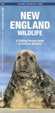 Pocket Naturalist Guide to New England Wildlife