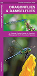 Pocket Naturalist Guide-Dragonflies & Damselflies
