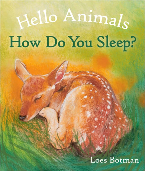 Hello Animals - How Do You Sleep? - Board Book