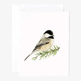 Evergreen Christmas Assorted Notecard Set by Emily Lex Studio