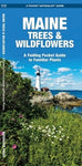 Maine Trees & Wildflowers - Pocket Naturalist