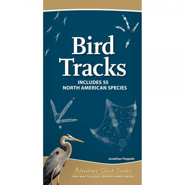 Bird Tracks (Includes 55 North American Species)