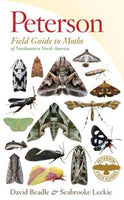 Peterson Field Guide to Moths of Northeastern North America