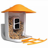 BeakView Bird Feeder Camera