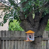 BeakView Bird Feeder Camera