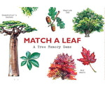 Match a Leaf - A tree memory game