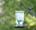 Mason Jar Hummingbird Feeder