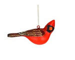 Male Northern Cardinal