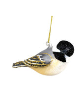 Turned Head Chickadee