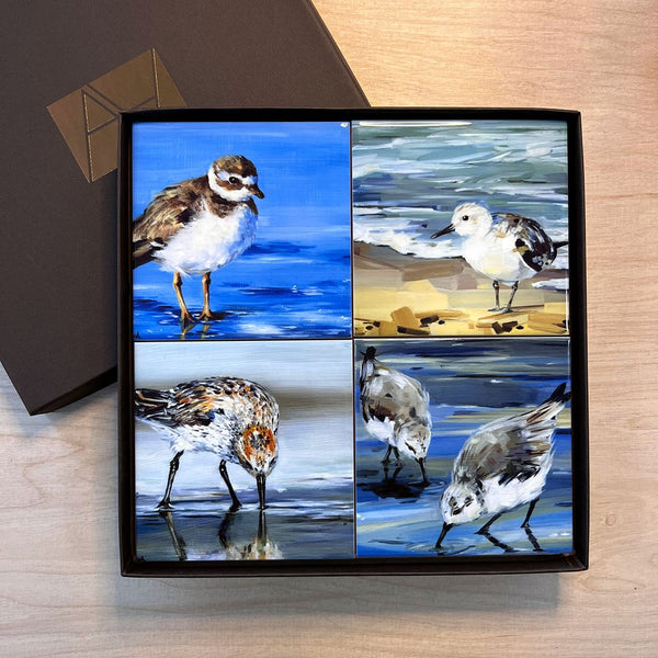 Shorebirds 3 Coaster Set - Art by Alyssa