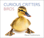 Curious Critters Birds