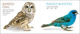 Curious Critters Birds