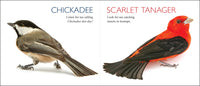 Curious Critters Birds