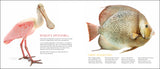 Curious Critters Marine (For Store Pick-up Only)