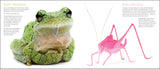 Curious Critters by David FitzSimmons (For Store Pick-Up Only)