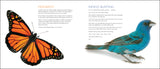 Curious Critters Backyard Animals - by David FitzSimmons  (For Store Pick-up Only)