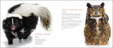 Curious Critters Backyard Animals - by David FitzSimmons  (For Store Pick-up Only)