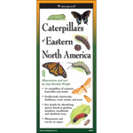 Caterpillars of Eastern North America