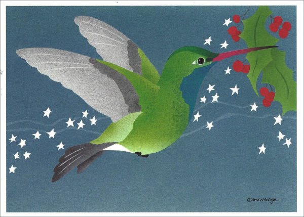 Hummingbird Stars Holiday Card Set - 10 cards & 10 envelopes