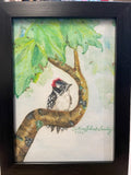 Consignment - Original Birds of the Northeast Artwork by Cristina LaPoint-Smalley