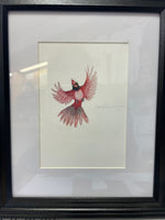 Consignment - Original Birds of the Northeast Artwork by Cristina LaPoint-Smalley