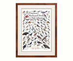 Petersons Backyard Birds of Mid-Atlantic Poster