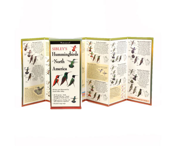 Sibley's Hummingbirds of North America Folding Guide