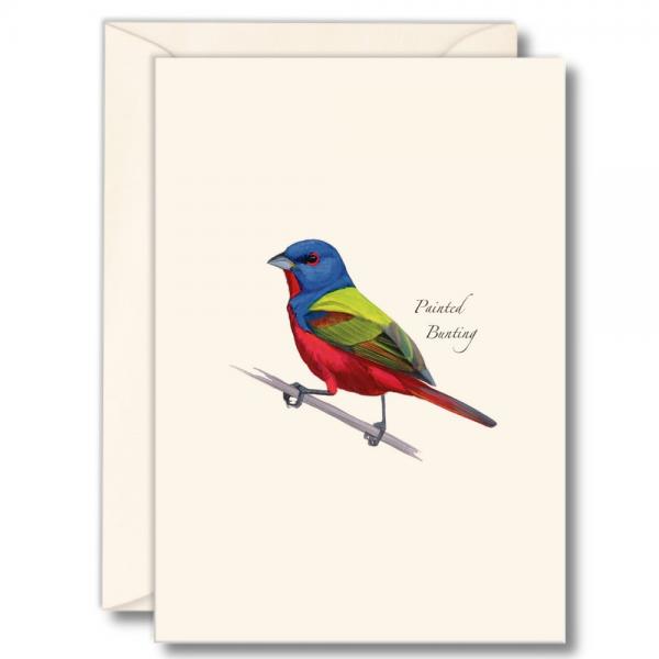 Painted Bunting Notecards