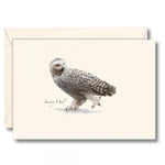 Snowy Owl Notecards