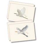 Egret Assortment Boxed Note Cards