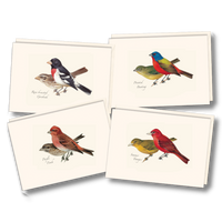 Peterson's Bird Assortment II Notecards