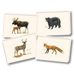 Mammals Assortment Notecards