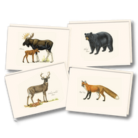 Mammals Assortment Notecards