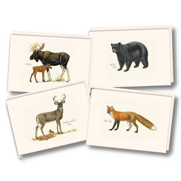 Mammals Assortment Notecards