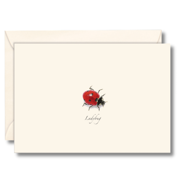 Ladybug Boxed Note Cards Maine Audubon Nature Store ladybug-boxed-note-cards-maine-audubon-nature-store