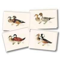 Duck Assortment Notecards