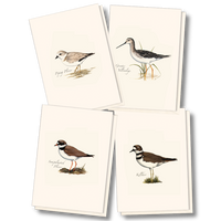 Shorebird Assorted Notecards