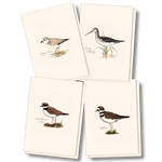 Shorebird Assortment Boxed Notes