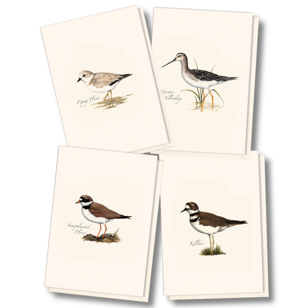 Shorebird Assorted Notecards