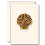 Bay Scallop Boxed Note Cards
