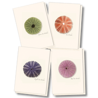 Sea Urchin Assortment Boxed Note Cards