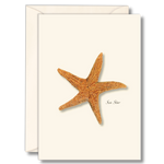 Sea Star Boxed Note Cards