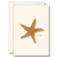 Sea Star Boxed Note Cards