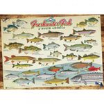 Freshwater Fish of North America - 1000 Piece Puzzle