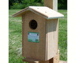 Screech Owl House