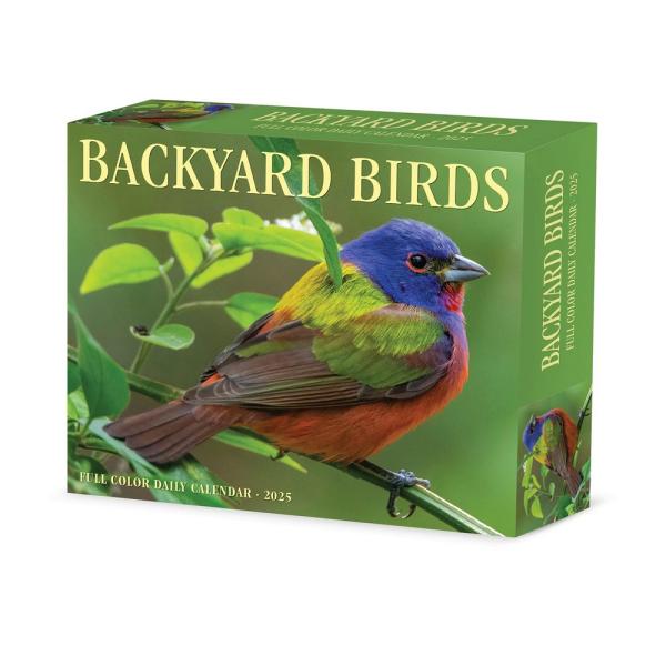 2025 Backyard Birds Full Color Daily Calendar