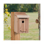 Cedar Wren/Chickadee House (FOR PICK-UP ONLY)