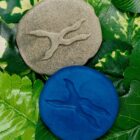 Let’s Investigate Woodland Footprints