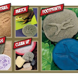 Let’s Investigate Woodland Footprints